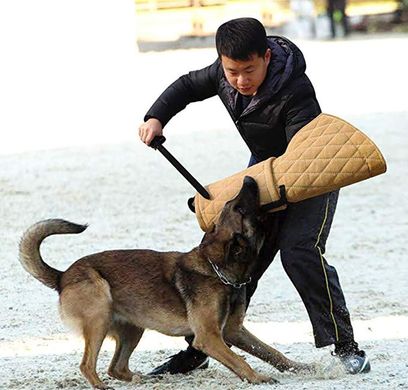 Рукав для дресирування собак Linen Dog Training Bite Sleeve Khaki, Хаки