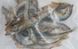 Мойва EcoStar Capelin для собак, 90 г