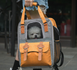 Переноска-рюкзак для собак и котов Vooyager Pet LVT23005, Зелёный