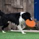 Силіконова літаюча тарілка-фризбі для собак Soft Silicone Dog Flying Disc, 1 шт., Салатовый, 1 шт.