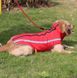 Світловідбиваюча зимова товста куртка для собак Red, 40 см, 52 см, 45 см, XL