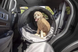 Автомобильная переноска для собак и кошек Люпосанчик BS-PC-004 Grey, 123х58х58 см
