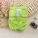 Багаторазовий підгузок для сук Derby KS001 Green, XL, 60-70 см