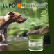 Luposan Moorliquid, 500 г, Грязь