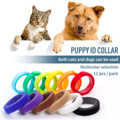 Комплект нашийників для цуценят і кошенят id Collars for Puppies, 12 шт., Small