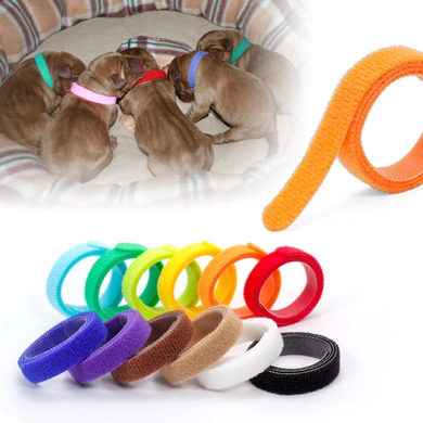 Комплект нашийників для цуценят і кошенят id Collars for Puppies, 12 шт., Small