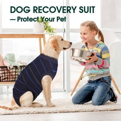 Попона для відновлення собак Wan Talk Recovery Suit, Dark Blue Stripe, 25 см, 33-40 см, 27 см, XS