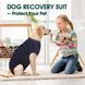 Попона для відновлення собак Wan Talk Recovery Suit, Dark Blue Stripe, 25 см, 33-40 см, 27 см, XS