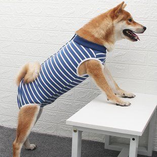 Боди, пижама, послеоперационная попона Derby Fashion Style Stripe, 22 см, 28-36 см, XS