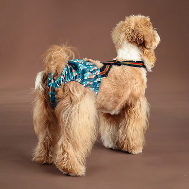 Багаторазовий підгузок для сук Derby Reusable Dog Diaper KS008-05 на шлейках, 3XL, 60-75 см
