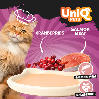 Кремовий вологий корм для котів UNIQ PETS CAT WET FOOD DELIGHT SHAKE з лососем і журавлиною, 60 г