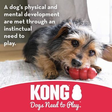 Жувальна ігрушка для прорізування зубів для цуценят KONG Puppy Teething Stick, Блакитний, Small