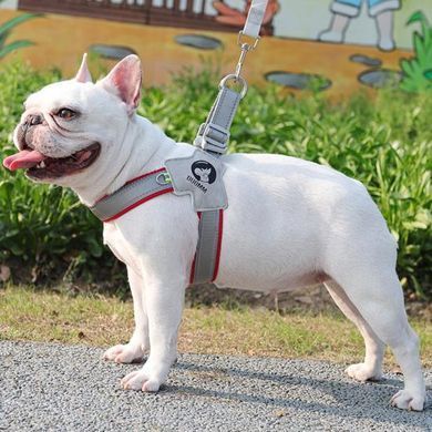 Шлея для собак Derby Duomm Pet harness FH106, Червоний