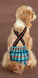 Багаторазовий підгузок для сук Derby Reusable Dog Diaper KS008-05 на шлейках, 3XL, 60-75 см