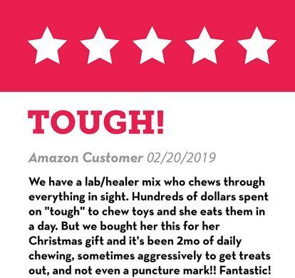 Жувальна ігрушка для прорізування зубів для цуценят KONG Puppy Teething Stick, Блакитний, Small