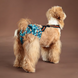 Багаторазовий підгузок для сук Derby Reusable Dog Diaper KS008-05 на шлейках, 3XL, 60-75 см