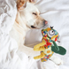 М'яка іграшка для собак Derby Pet Garden - Dragonfly Shaped Dog Plush Toy with Rope