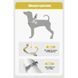 Шлея для собак Derby Duomm Pet harness FH106, Червоний
