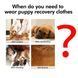 Боди, пижама, послеоперационная попона Derby Fashion Style Stripe, 22 см, 28-36 см, XS