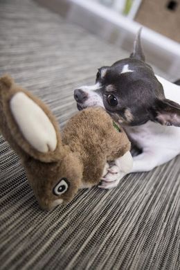 Жесткая плюшевая игрушка для собак goDog Wildlife Rabbit
