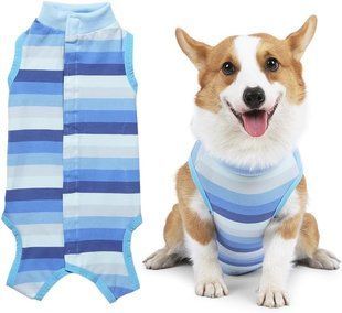 Костюм для восстановления собак WanTalk Striped Recovery Suit, Blue, 39 см, 50 см, 31 см, XL