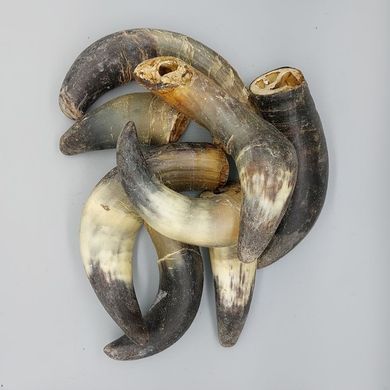 Роги буйвола, 1 шт., буйвол, 1 шт., S