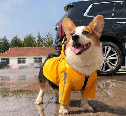 Світловідбивний дощовик для собак Derby R57 Yellow, 22 см, 40 см, 27,5 см, S