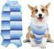 Костюм для восстановления собак WanTalk Striped Recovery Suit, Blue, 39 см, 50 см, 31 см, XL