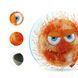 Іграшка для Собак Gigwi Crazy Ball Гумовий М'яч з ворсистою Покриттям і пищалки Помаранчевий 7 см, Small