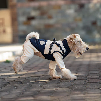 Зимова куртка для собак V.PET.B.R. Luxury Dog Jacket C519 Black&Cream, 38,5 см, 59 см, 37 см, 2XL