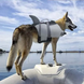 Спасательный жилет для собак Shark Design, 30 см, 41-63 см, 40-48 см, M