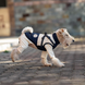 Зимова куртка для собак V.PET.B.R. Luxury Dog Jacket C519 Black&Cream, 38,5 см, 59 см, 37 см, 2XL