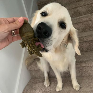Натуральные лакомства для зубов собак WHIMZEES Dental Treats Alligator, 1 шт., L