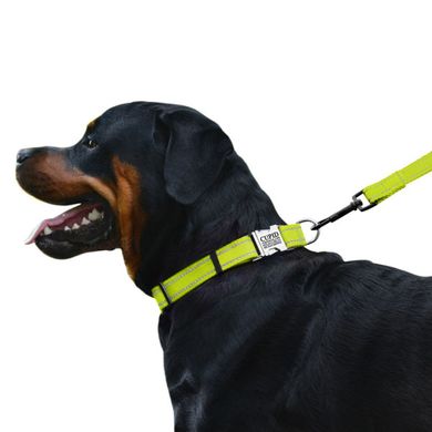 Ошейник для собак BronzeDog Active Нейлоновый со Светоотражением и Металлической Пряжкой Салатовый