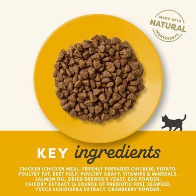 Сухий корм для кошенят Applaws Kitten Chicken + пробіотик, 7,5 кг