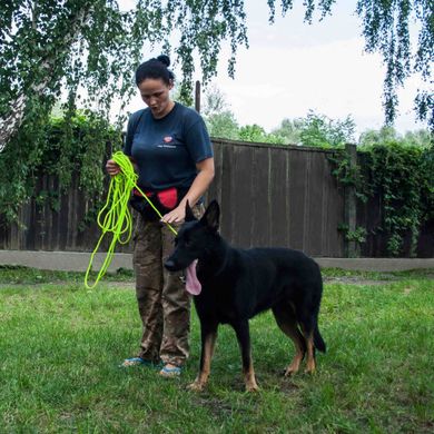 Тренировочный поводок для собак Bronzedog Active из шнура, Салатовый, Large