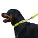Ошейник для собак BronzeDog Active Нейлоновый со Светоотражением и Металлической Пряжкой Салатовый