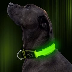 Светодиодный ошейник для собак Illumifan LED dog collar, Large