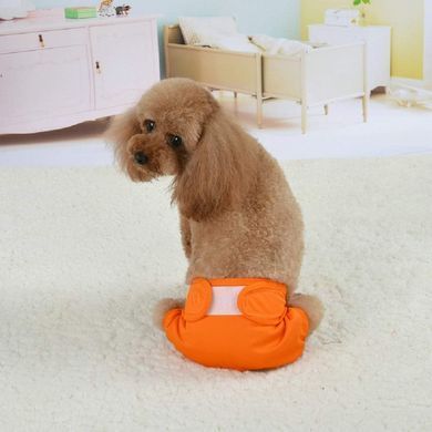 Багаторазовий підгузок для сук Derby KS001 Orange, XL, 60-70 см