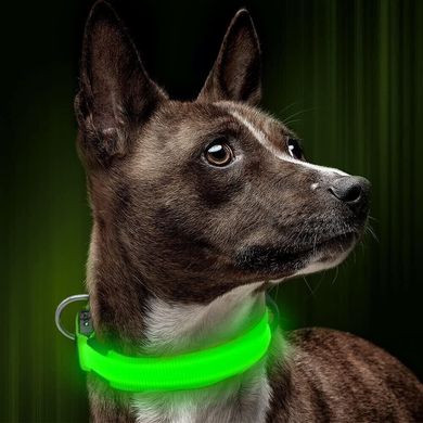 Світлодіодний ошийник для собак Illumifan LED dog collar, Large