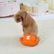 Багаторазовий підгузок для сук Derby KS001 Orange, XL, 60-70 см