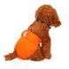 Багаторазовий підгузок для сук Derby KS001 Orange, XL, 60-70 см