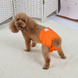 Багаторазовий підгузок для сук Derby KS001 Orange, XL, 60-70 см