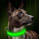 Светодиодный ошейник для собак Illumifan LED dog collar, Large