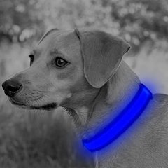 Светодиодный ошейник для собак Ezier USB Rechargeable Glow in The Dark Dog Collar, Medium
