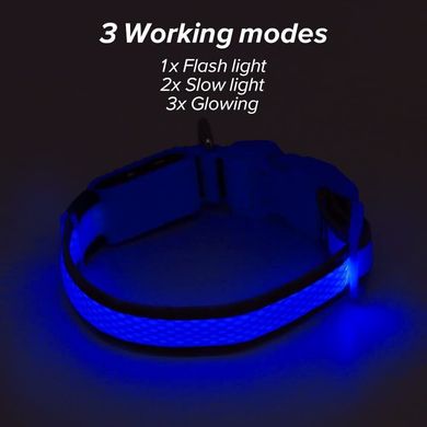 Світлодіодний ошийник для собак Ezier USB Rechargeable Glow in The Dark Dog Collar, Medium