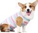 Костюм для восстановления собак WanTalk Striped Recovery Suit, Pink, 39 см, 50 см, 31 см, XL