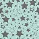 Багаторазова пелюшка Pelushka Mint Stars, 40х50 см