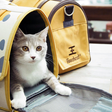 Переноска для кошек Voyager Pet TouchCat LVGB2411