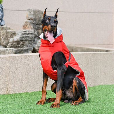 Зимнее пальто с флисовым воротником Derby Red, 40 см, 50-55 см, 47-52 см, XL